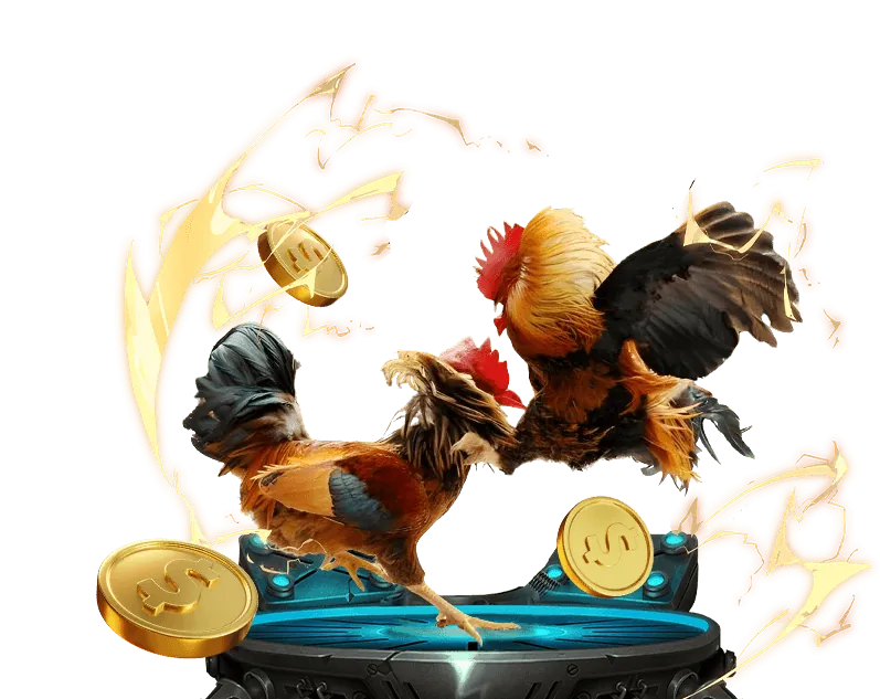 Sòng bạc trực tiếp với người chia bài trực tiếp